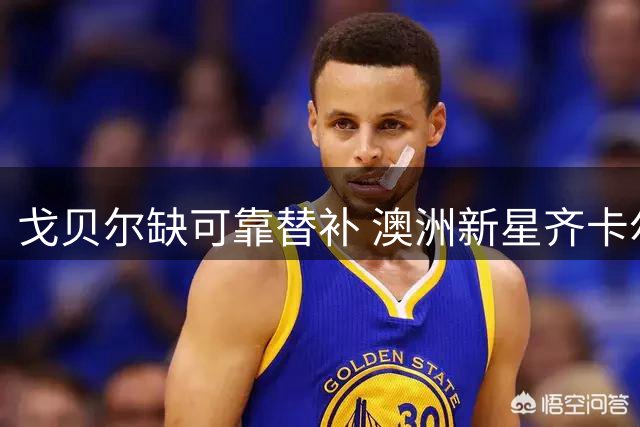 戈贝尔缺可靠替补 澳洲新星齐卡尔斯基能否补强森林狼内线短板？